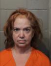 Mugshot of LORRIE JANE WAGNER