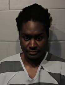 Mugshot of ELIJOUSA LARRY PRINSTON