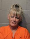 Mugshot of ROBBYN RENE WILLIAMS