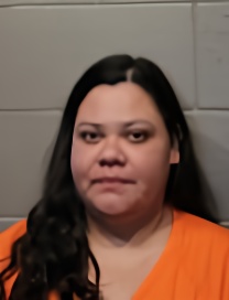 Mugshot of DAWN TIANA WELCH