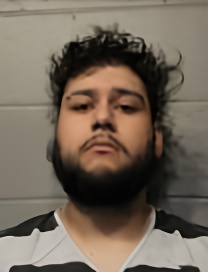 Mugshot of JULIAN RAFAEL LOPEZ-ORELLANA