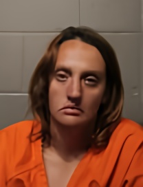 Mugshot of TOREY L HARRIS