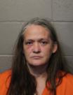 Mugshot of CINDY DIANE PERKINS