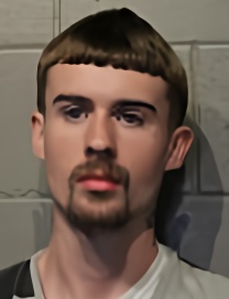 Mugshot of TOMMY LEE FARETRA
