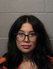 Mugshot of ISABELL RENEE WAHL