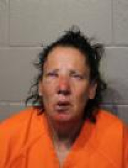 Mugshot of MICHELE DEE HOUSE