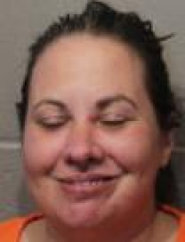 Mugshot of MEGAN ELIZABETH SMITH