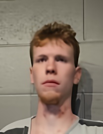 Mugshot of DALTON LEE WARD