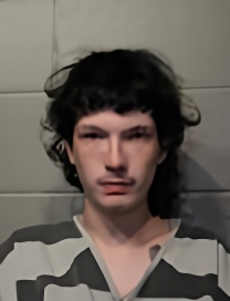 Mugshot of GAVEN BLAKE HARRISON