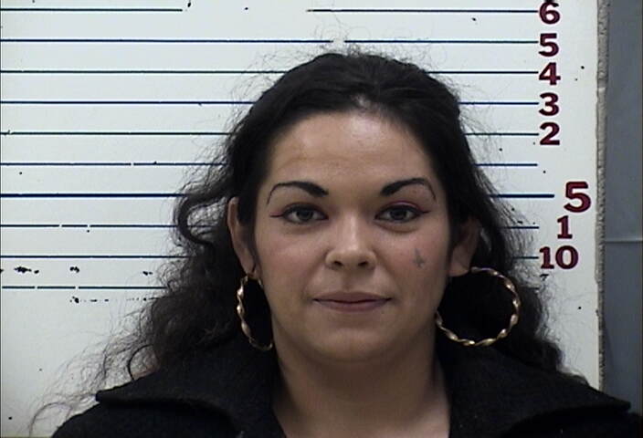 Mugshot of EMILY RUTH ERMAN