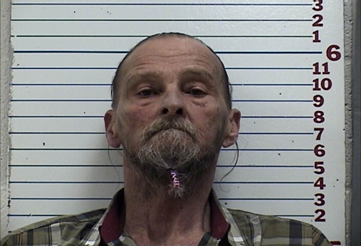 Mugshot of ROBERT DANA EARHART