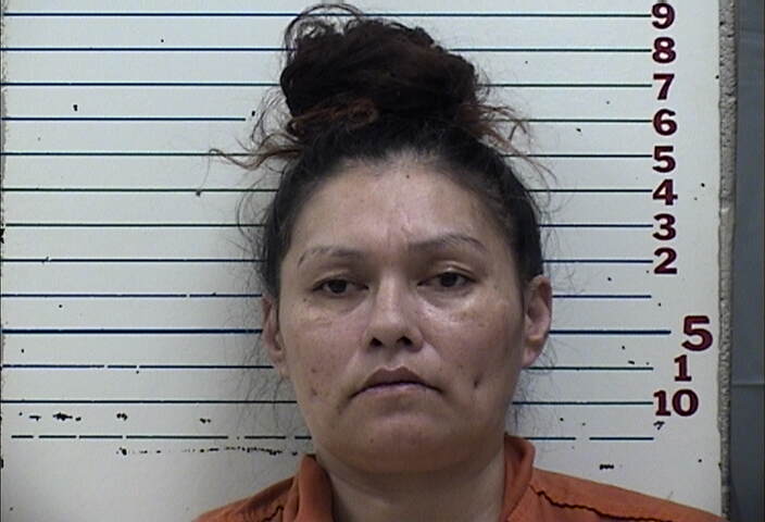 Mugshot of JESSICAH ELAINE LITTLE