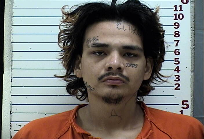Mugshot of LUIS EDUARDO MOLINA