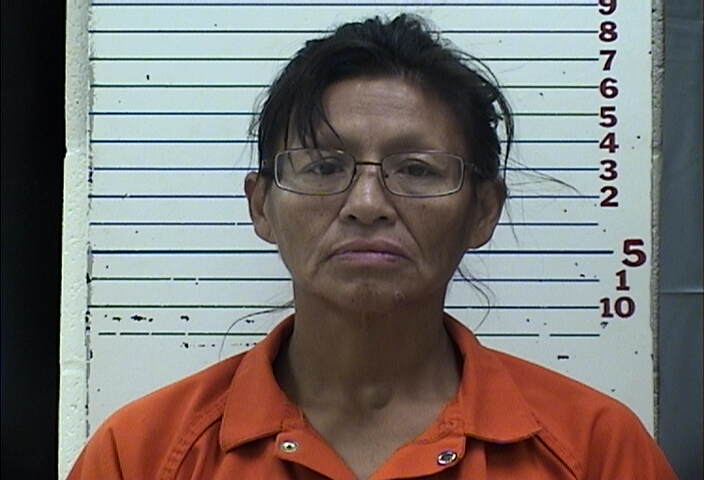 Mugshot of YVONNE DAWN KOPADDY