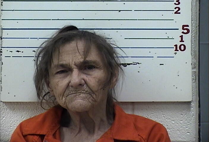 Mugshot of NINA JEWELL ROBINSON