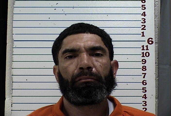 Mugshot of JOSE MICHEAEL MEDELES