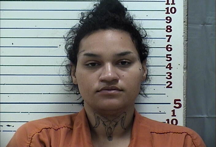 Mugshot of RONNIE LOUISE JONES