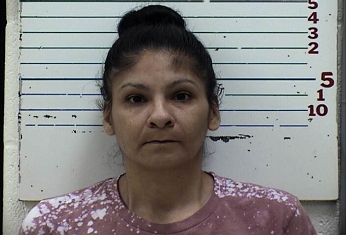 Mugshot of TERESA MARIE BORJAS