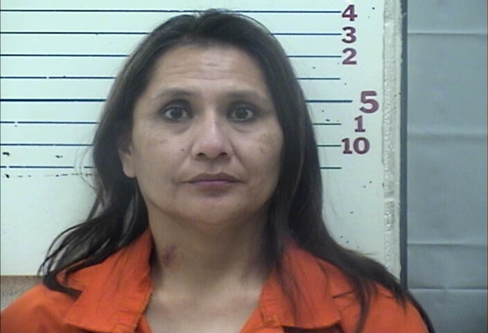 Mugshot of HARRIET LYNN LONGHAIR