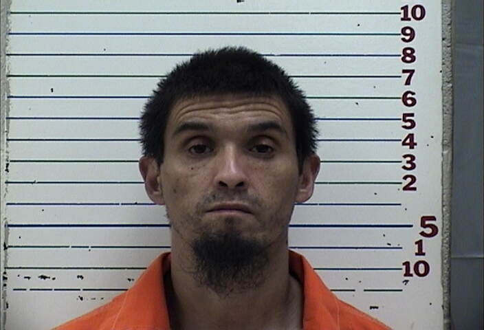 Mugshot of CHRISTOPHER NIEDO