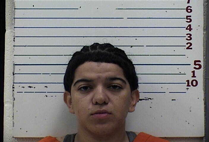 Mugshot of CAROLYN ARIANNA TORRES