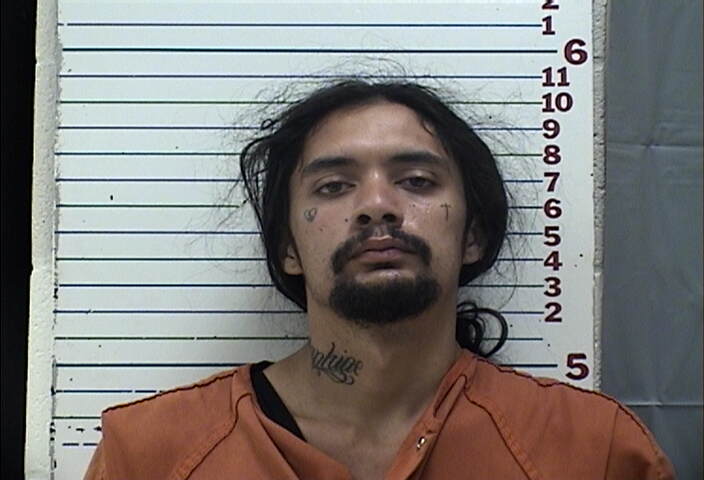 Mugshot of DAVIUS MARCELL HARDIN