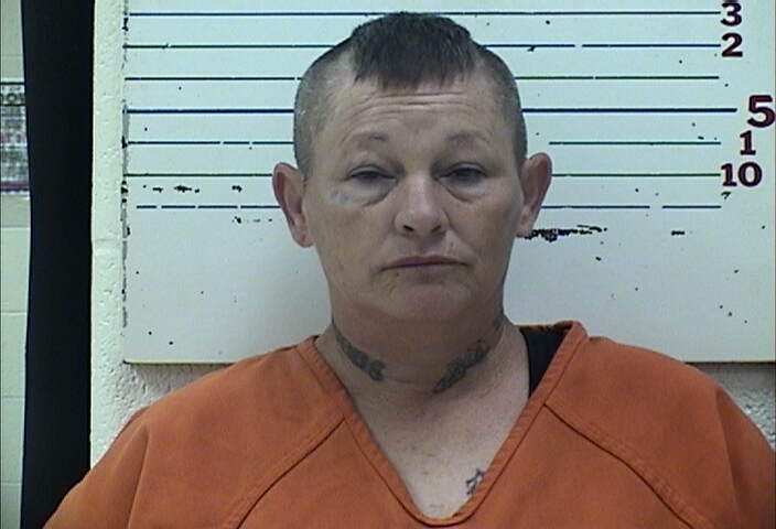 Mugshot of MISTY LYNN CRIBBS