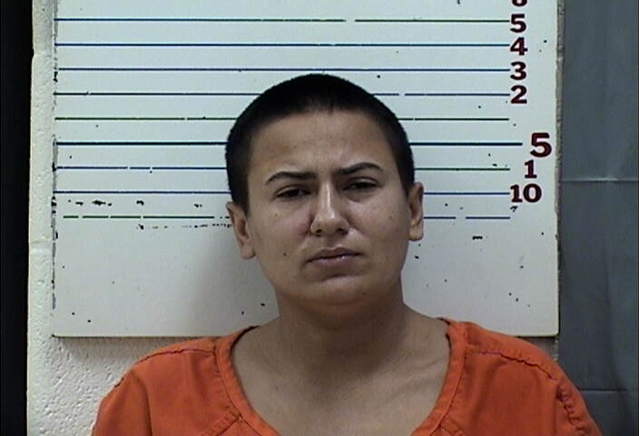 Mugshot of MIRANDA LYNN MARES