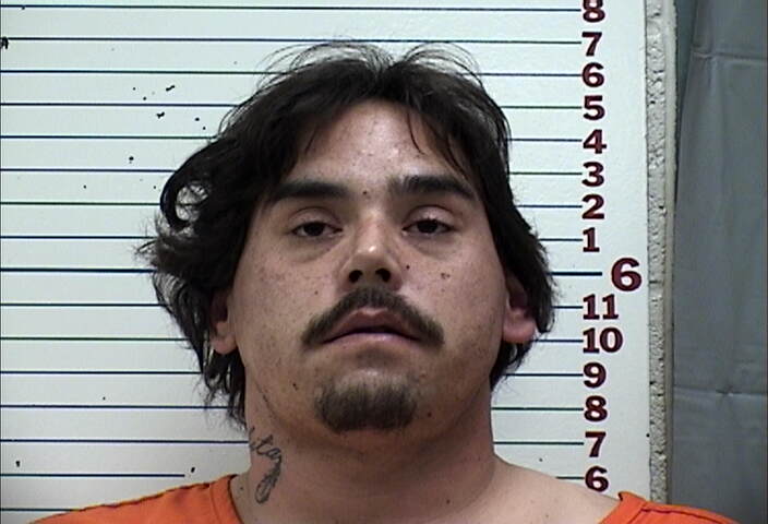 Mugshot of DILLON JASON WILLIAMS