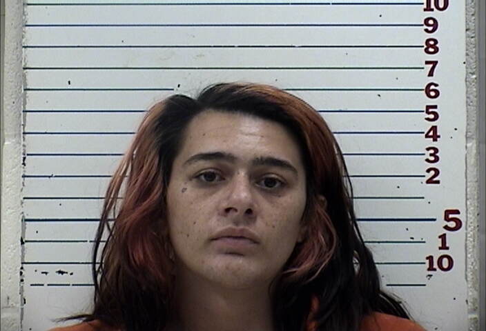 Mugshot of MEGAN ELIZABETH DODSON