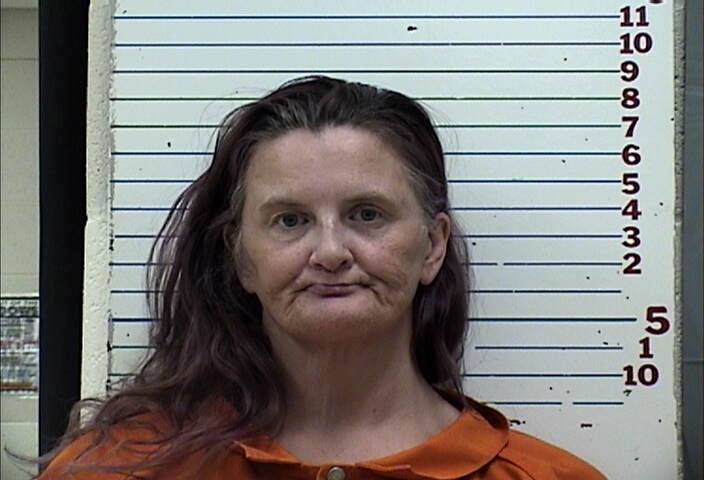Mugshot of MELISSA HOPE FLETCHER