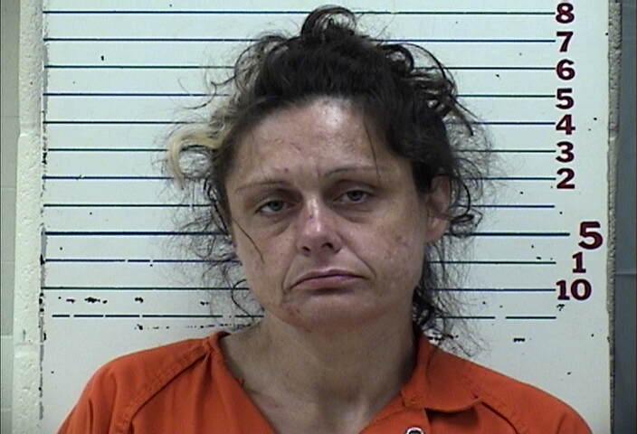 Mugshot of BRANDIE DANIELLE JOHNSON