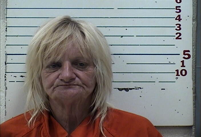 Mugshot of JULIE LYNN HOUSE