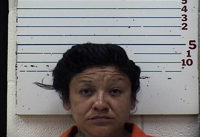 Mugshot of SHANNON ROSE DELAWARE