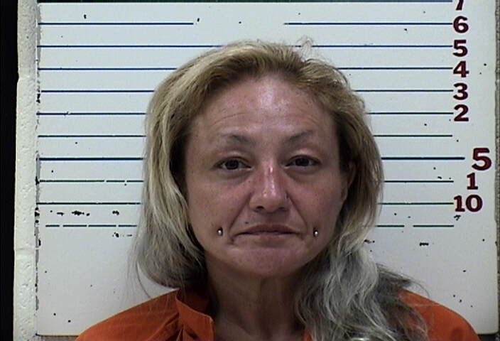 Mugshot of TANYA SHIN MEADE