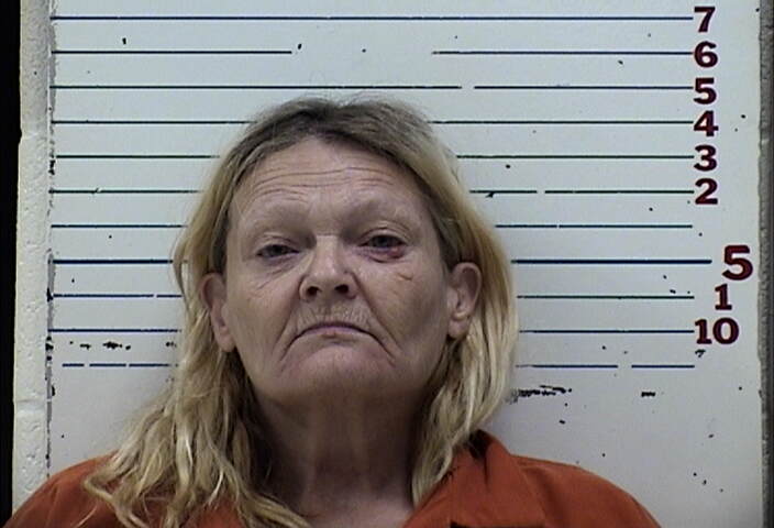 Mugshot of JANELLA ANN JENKINS