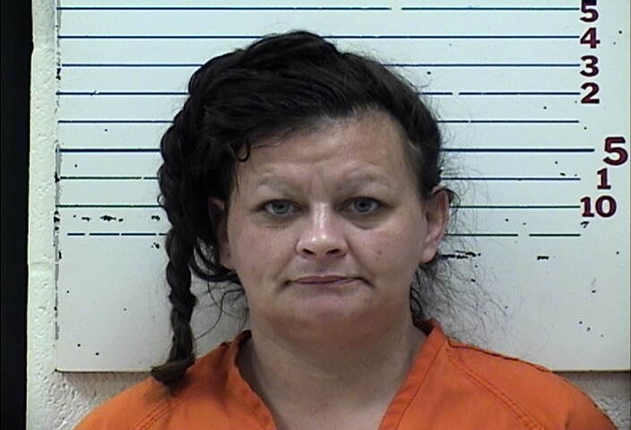 Mugshot of STEPHANIE MICHELE BEAUDOIN