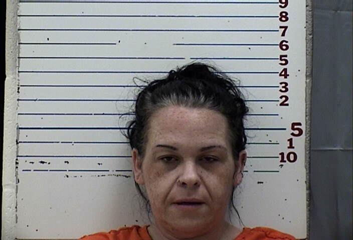 Mugshot of AMANDA MARIE HELMER