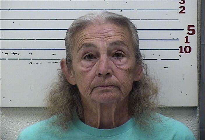 Mugshot of TWILLA PEARL NIETO