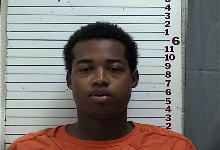 Mugshot of MICHAEL DARNELL PERKINS