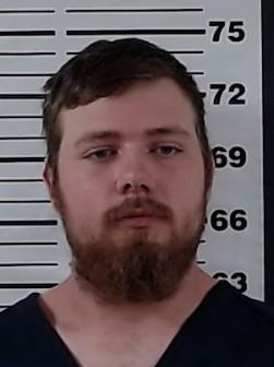 Mugshot of DAVID HERMAN