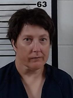 Mugshot of ASHLEY DAVILA