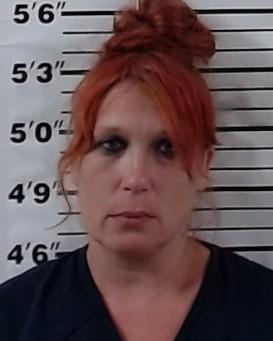 Mugshot of JESSICA LYNN MATTSON