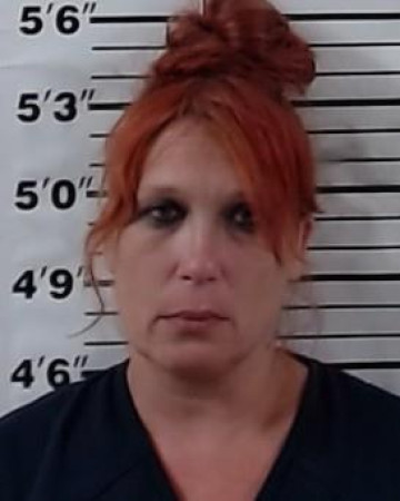 Mugshot of JESSICA LYNN MATTSON