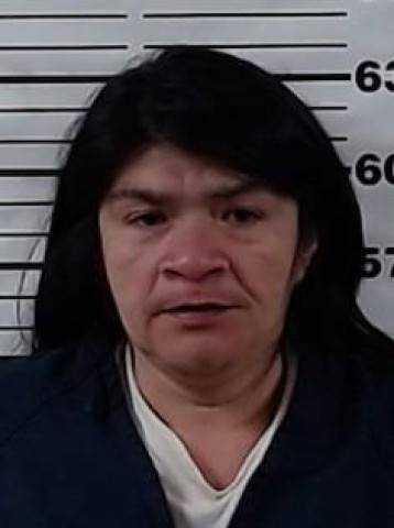 Mugshot of DIANNA JUMPER