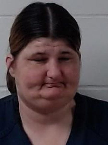 Mugshot of RENEE CARPENTER
