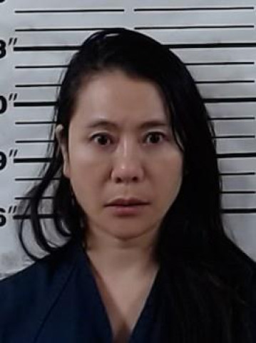 Mugshot of NAN YU