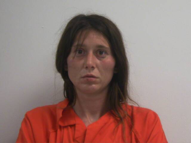 Mugshot of SARA LEE GANN