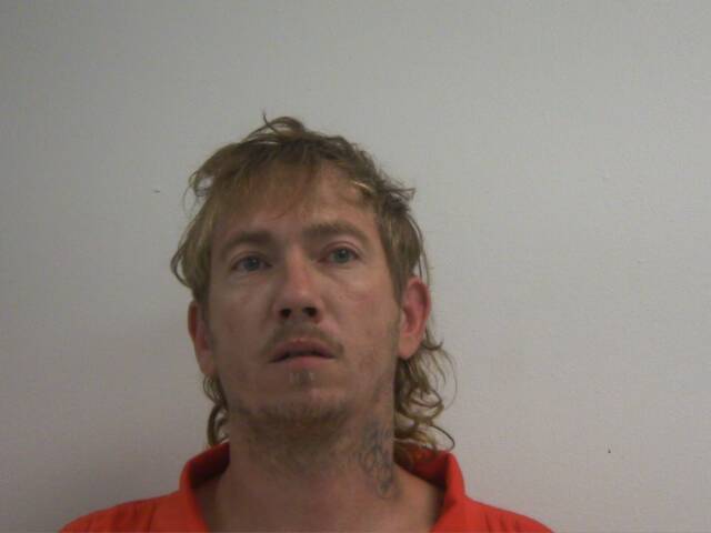 Mugshot of WARREN ALLEN CHEATHAM