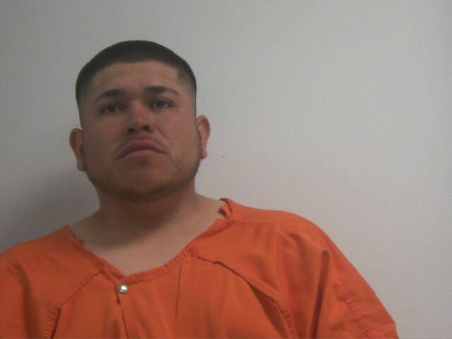 Mugshot of WUALDY ISRAEL HERNANDEZ